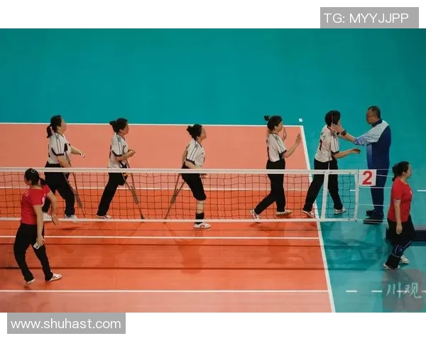 成都排球队选拔赛分析：团队配合与战术执行的精彩表现