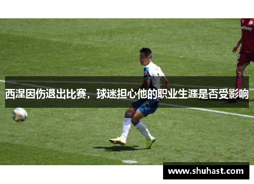 西涅因伤退出比赛，球迷担心他的职业生涯是否受影响